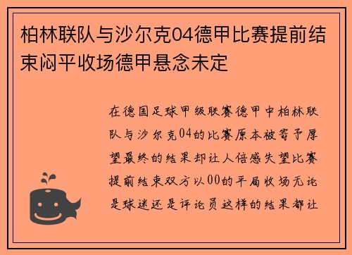 柏林联队与沙尔克04德甲比赛提前结束闷平收场德甲悬念未定
